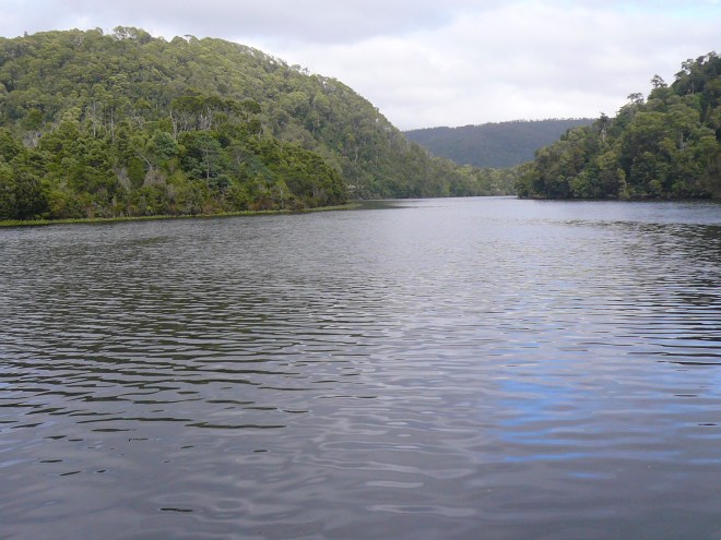 Cruising the Pieman River, western Tasmania
