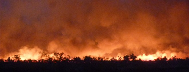 Spinifex fire in north-western Australia