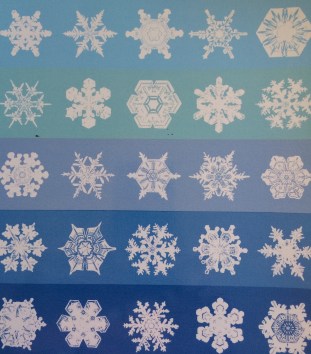 Illustrations of different snow crystals on the front cover of Bentley and Humphreys (1962; first published in 1931).