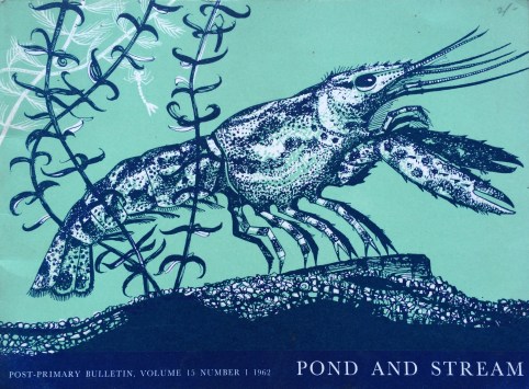 This 1962 publication from New Zealand beautifully illustrates the patterns of life in ponds and streams, life that is also dependent on water. 