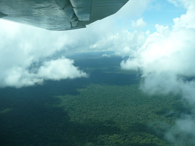 Flying through, over and above the clouds was an unforgettable experience. As was the expansive forest below.