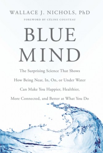 The book 'Blue Mind', published in 2014,  has become a best seller. Source: blue mind.me