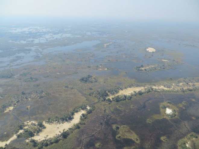 On a recent trip to the Okavango Delta in Botswana, water stood out as the defining element. This inland delta supports a myriad of plants and animals. Elsewhere in Africa water is also critical. A continent where rivers like the Nile and deserts like the Sahara have shaped diverse cultures.